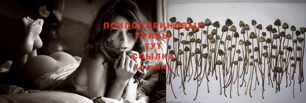 прущая мука Липки
