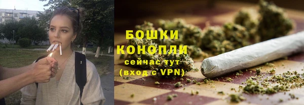 стаф Майский