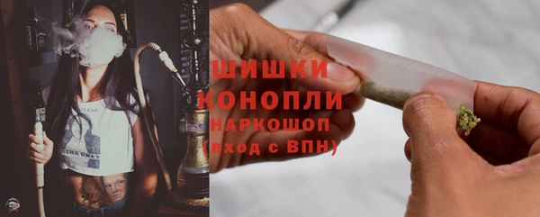 стаф Майский