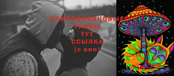 стаф Майский