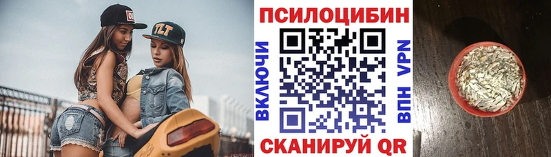 Псилоцибиновые грибы GOLDEN TEACHER  как найти   Облучье 